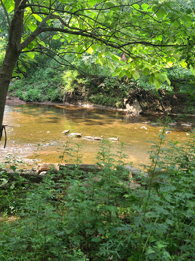 Park «Merrill Park», reviews and photos, Fairview Ave, Colonia, NJ 07067, USA