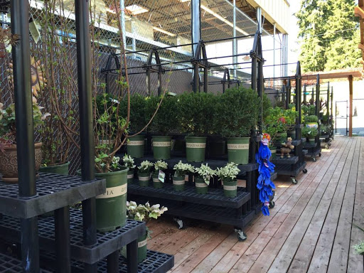 Hardware Store «Westgate Ace Hardware», reviews and photos, 2675 N Pearl St, Tacoma, WA 98407, USA