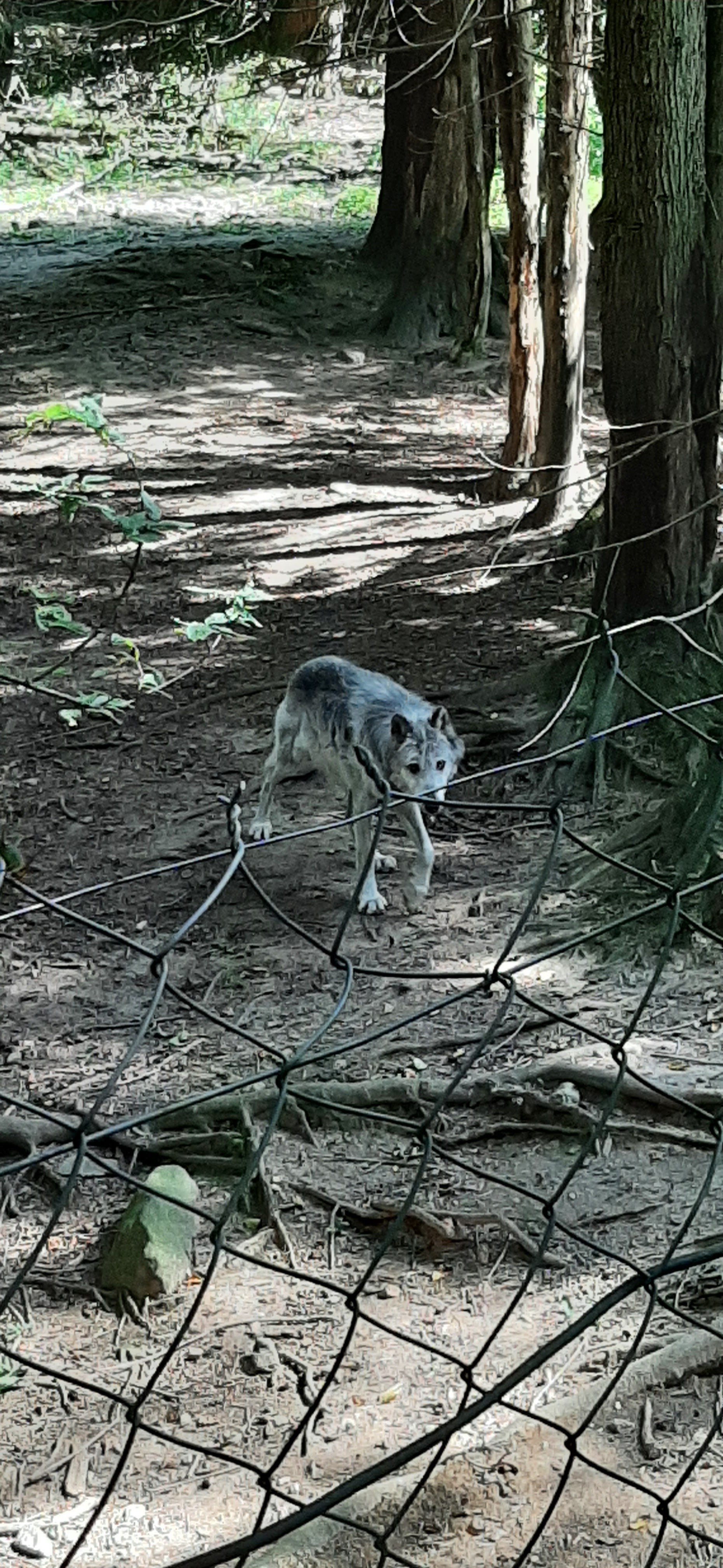 Photo n° 3 de l'avis de Cyril.a fait le 30/08/2023 à 19:12