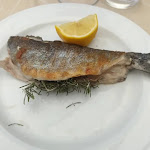 Photo n°4 de l'avis de Steca.e fait le 10/09/2023 à 15:59 sur le  Osteria degli Alpinisti à San Bartolomeo