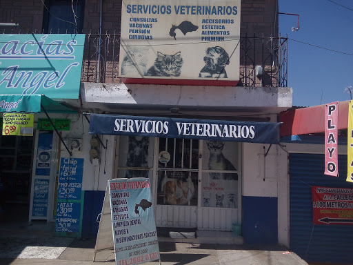 Servicios Veterinarios MVZ. Luis Antonio Cerón