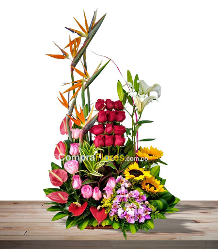 Floristeria Compra Flores