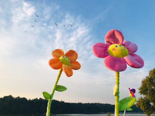 Event Venue «Lake Lanier Olympic Park», reviews and photos, 3105 Clarks Bridge Rd, Gainesville, GA 30506, USA