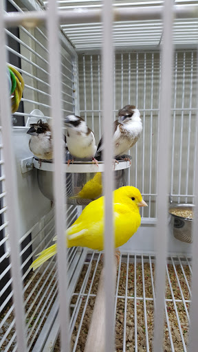 Pet Supply Store «Pet Supplies Plus», reviews and photos, 135-25 79th St, Howard Beach, NY 11414, USA