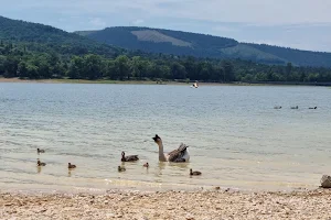 Lac/Bassin de Saint-Ferréol image