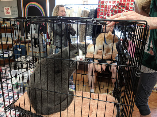 Pet Supply Store «Mud Bay», reviews and photos, 3804 Bridgeport Way W, University Place, WA 98466, USA