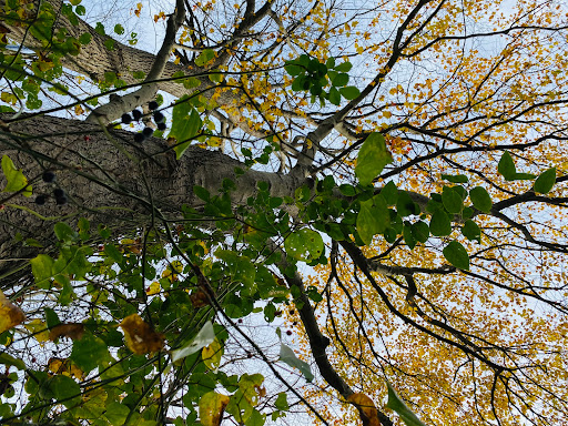 Park «Mansfield Park», reviews and photos, 85 Walker St, Massapequa Park, NY 11762, USA