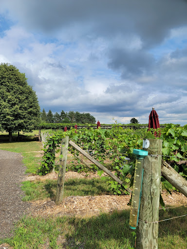 Winery «Alexis Bailly Vineyard», reviews and photos, 18200 Kirby Ave S, Hastings, MN 55033, USA