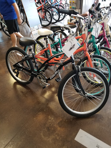 Bicycle Store «Suncoast Trailside Bicycles», reviews and photos, 16216 FL-54, Odessa, FL 33556, USA