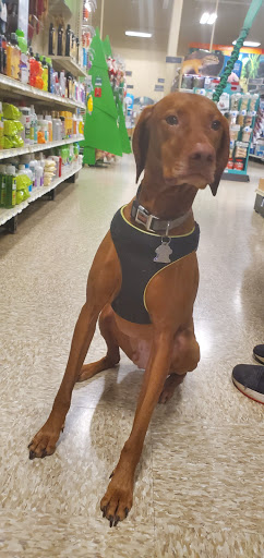 Pet Supply Store «PetSmart», reviews and photos, 47142 Michigan Ave, Canton, MI 48188, USA