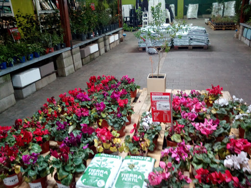 Tiendas de flores artificiales en Rosario