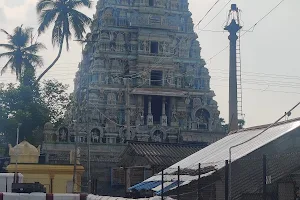 KNT001 - Tiruppukoliyur-Avinashiappar Shiva Temple(Avinashi) image