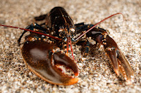 Photos du propriétaire du Restaurant de fruits de mer Le Comptoir Saint Kerber à Tours - n°8