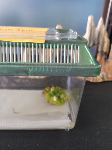 Pet Store «Wildside Pets», reviews and photos, 1042 N Higley Rd #105, Mesa, AZ 85205, USA