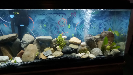 Pet Supply Store «Petco Animal Supplies», reviews and photos, 7901 Lansdowne Ave #1009a, Upper Darby, PA 19082, USA