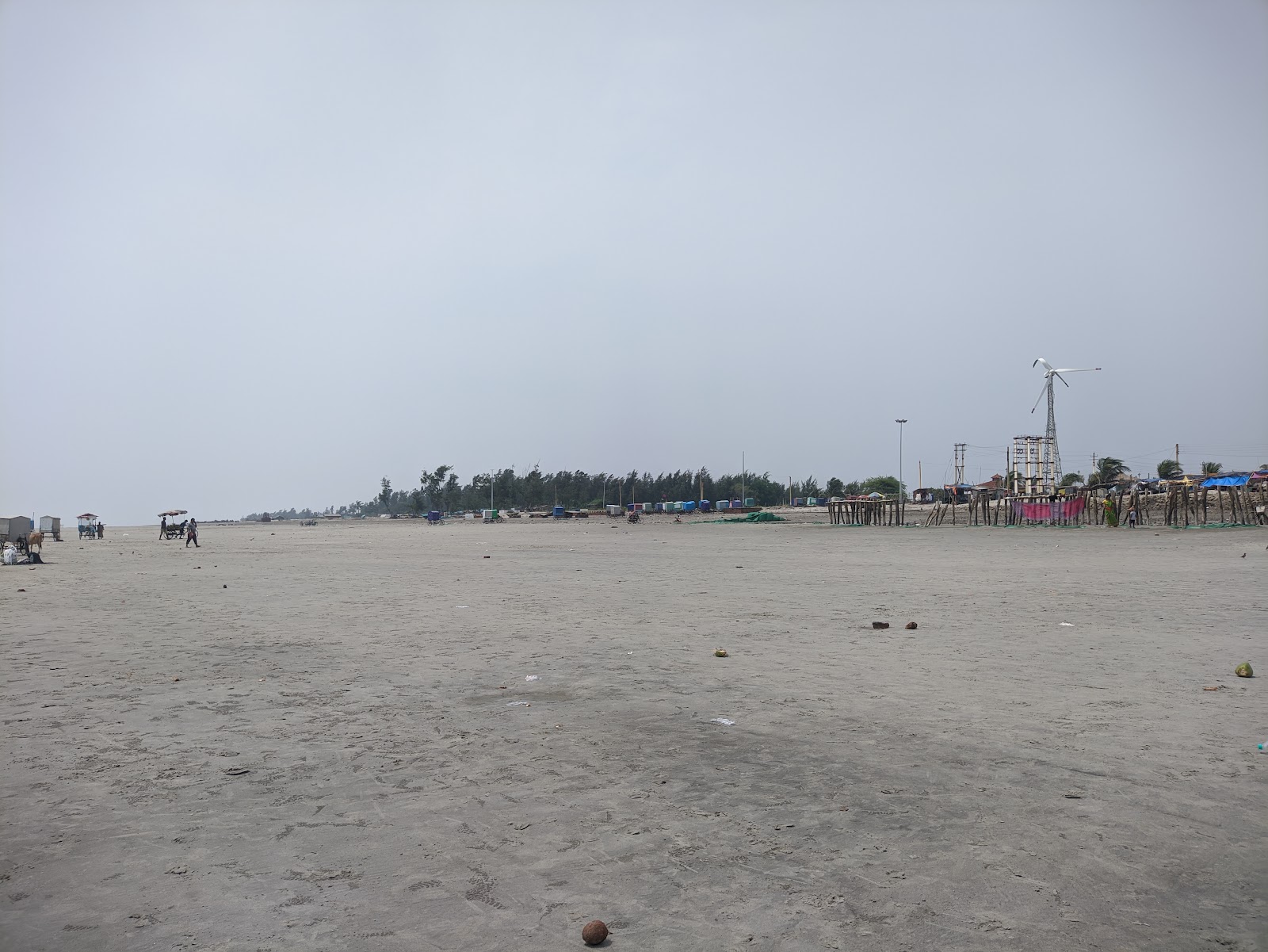 Fotografie cu Gangasagar Mohona Sea Beach - loc de vacanță prietenos pentru animale de companie