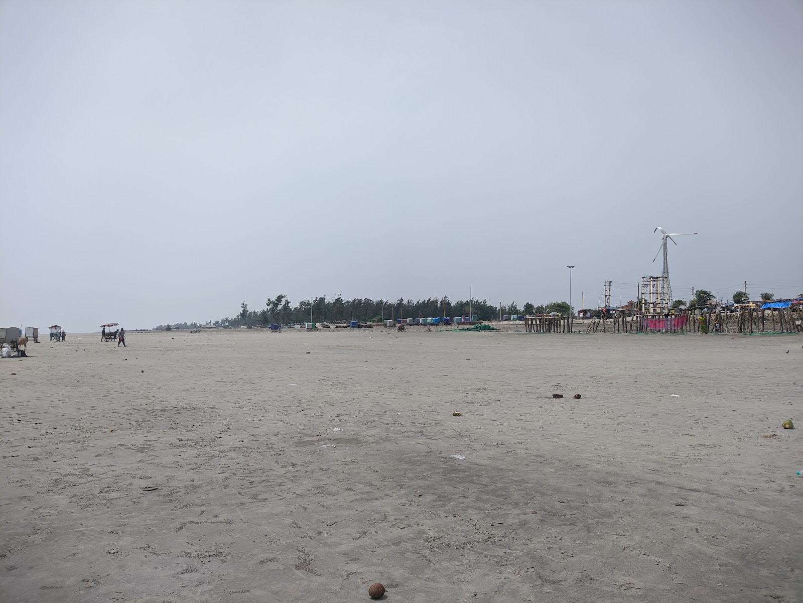 Gangasagar Mohona Sea Beach photo #8