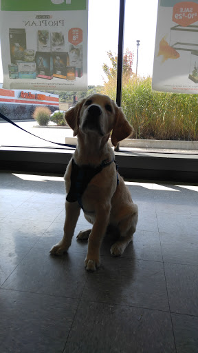 Pet Supply Store «Pet Supplies Plus», reviews and photos, 646 Long Hill Rd, Groton, CT 06340, USA