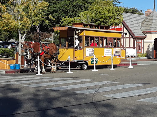 Grocery Store «Pismo Market», reviews and photos, 700 Dolliver St, Pismo Beach, CA 93449, USA