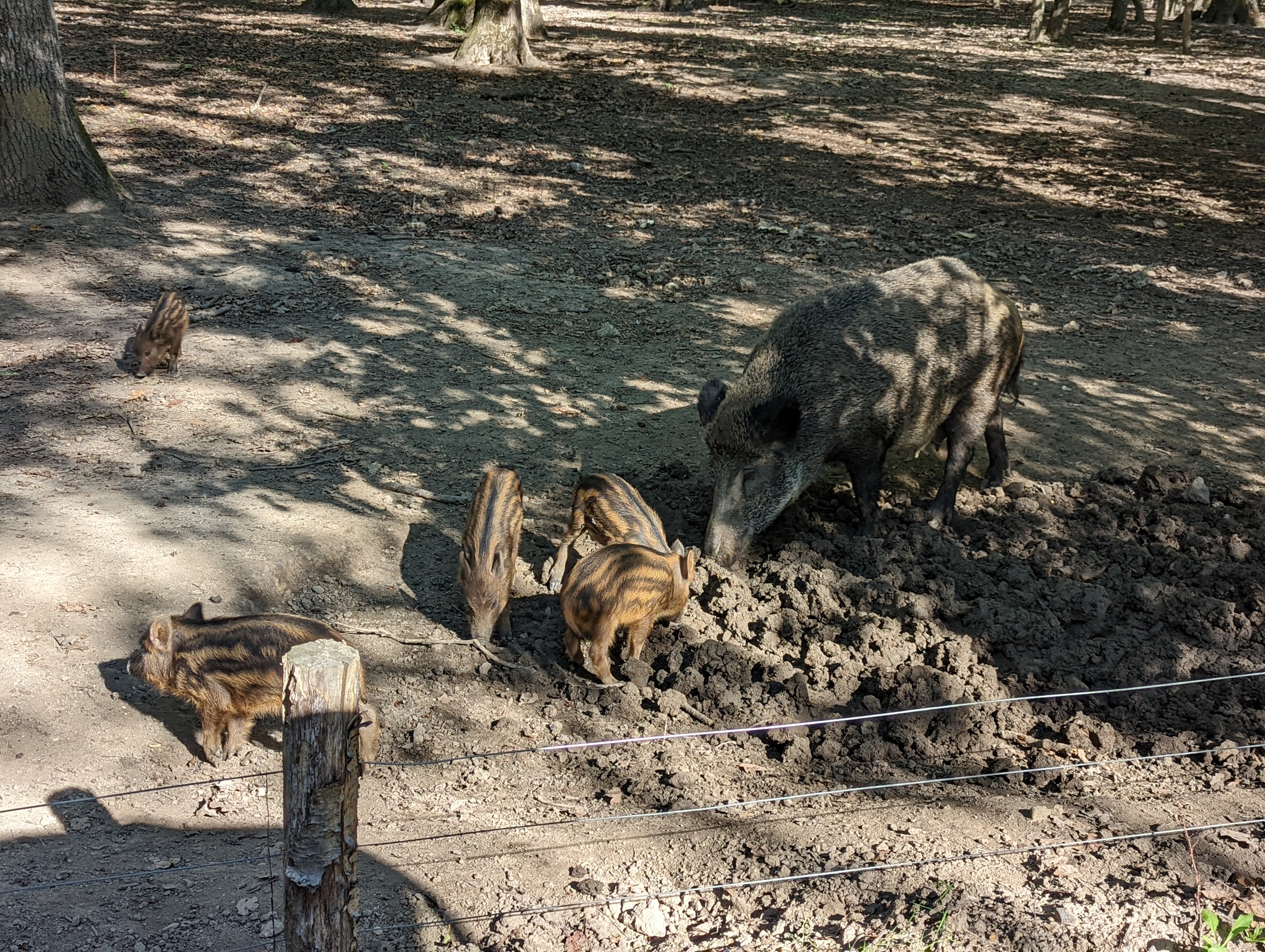 Photo n° 9 de l'avis de Virginie.e fait le 18/09/2022 à 19:51