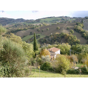 Al Respiro nel Bosco, Agriturismo e Azienda Agricola biologica Contrada Colvenale 10, 62020 Camporotondo di Fiastrone MC, Italia