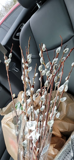 Grocery Store «The Fresh Market», reviews and photos, 5920 Red Bug Lake Rd, Winter Springs, FL 32708, USA