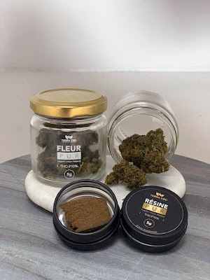 Terra CBD Guingamp à Guingamp