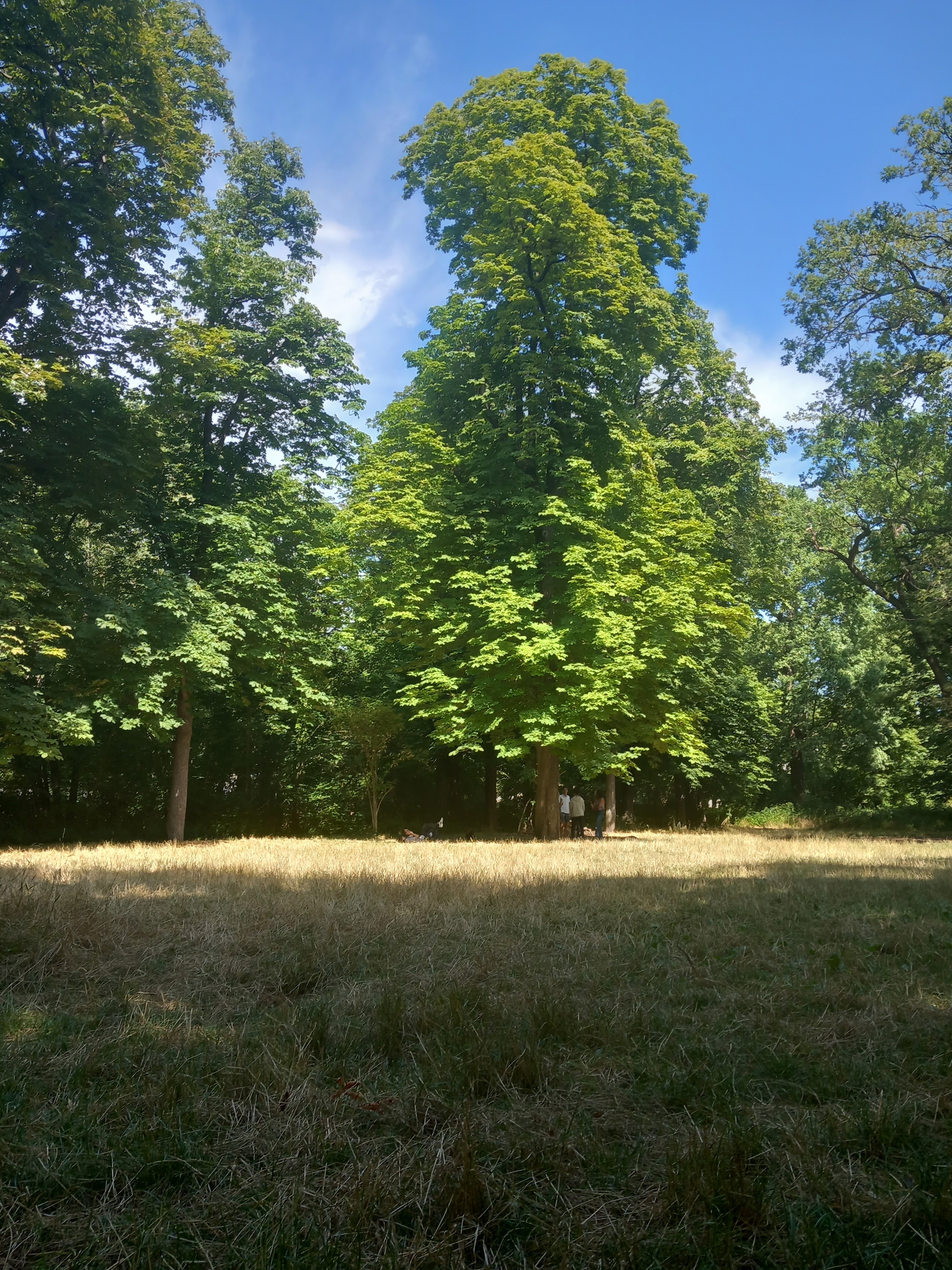 Photo n° 1 de l'avis de BURNS.u fait le 15/07/2023 à 12:06