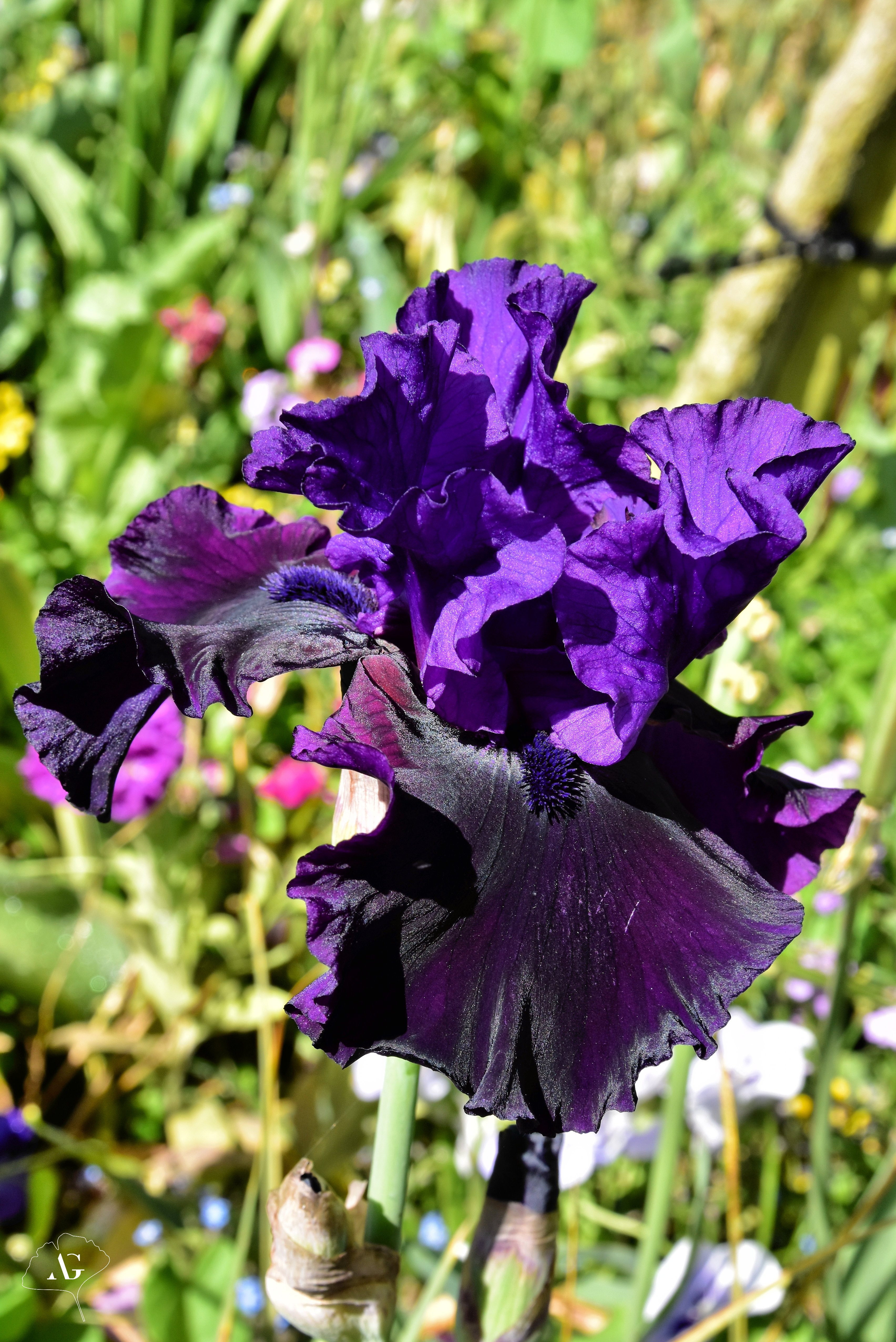 Photo n° 20 de l'avis de Audrey.. fait le 17/05/2022 à 09:49