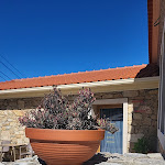 Photo n°2 de l'avis de Hana.e fait le 08/05/2024 à 09:31 sur le  Restaurante O Lagareiro à 