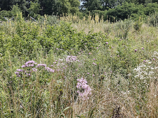 Battle Site «Third Battle of Winchester Battlefield Park», reviews and photos, 541 Redbud Rd, Winchester, VA 22603, USA