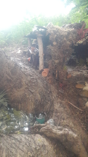 Wedding Venue «Highfield Hall & Gardens», reviews and photos, 58 Highfield Dr, Falmouth, MA 02540, USA