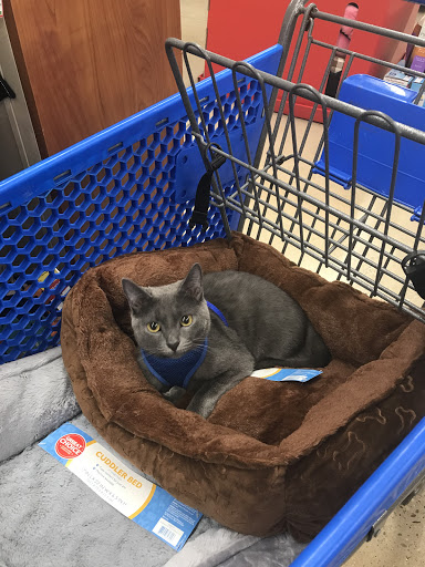Pet Supply Store «PetSmart», reviews and photos, 291 Skokie Blvd, Northbrook, IL 60062, USA