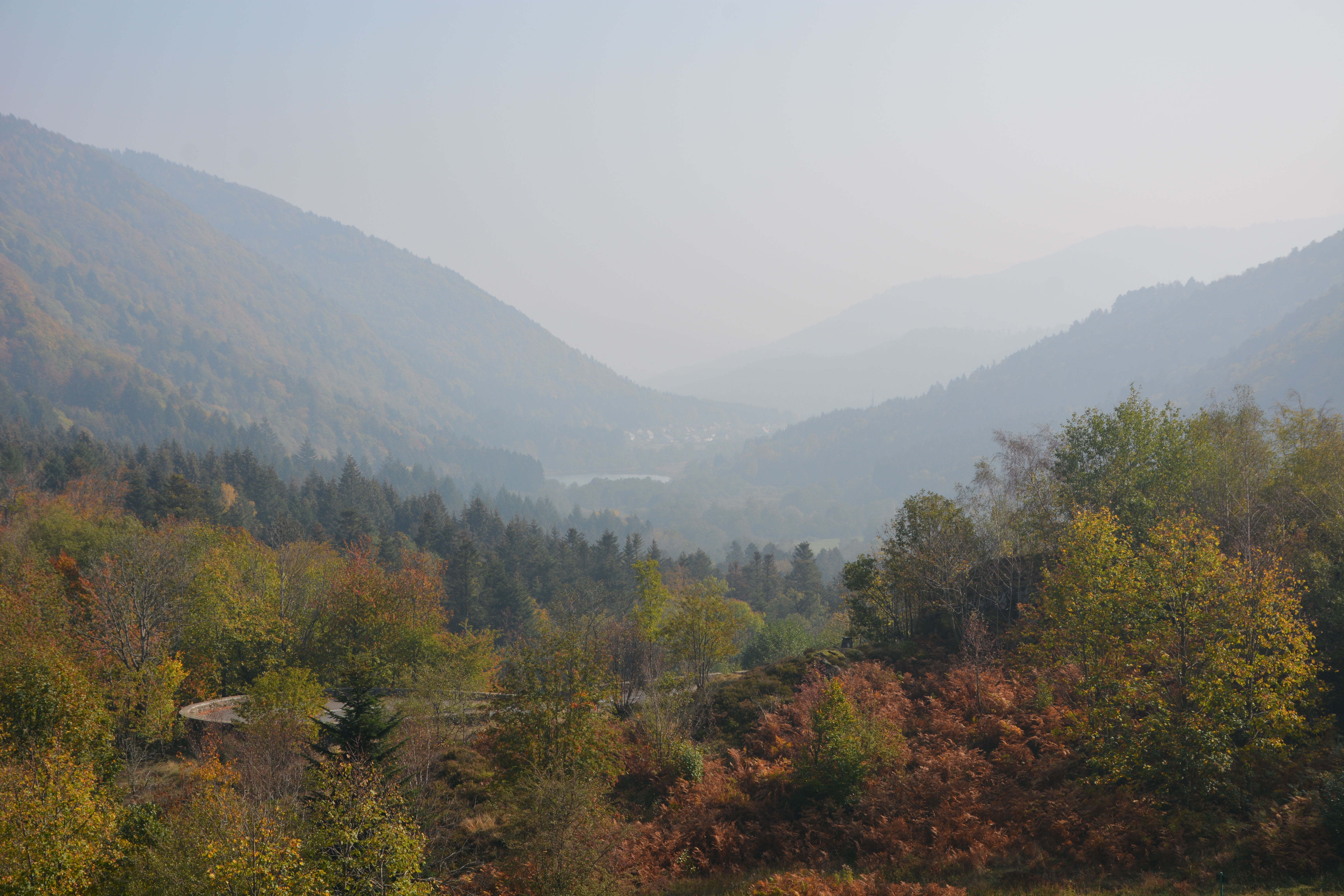 Photo n° 4 de l'avis de Klein.o fait le 26/10/2018 à 07:57