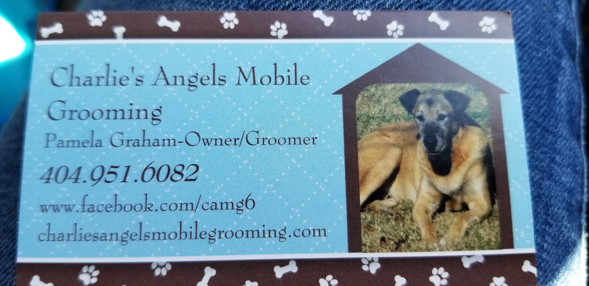 Charlie's Angels Mobile Grooming