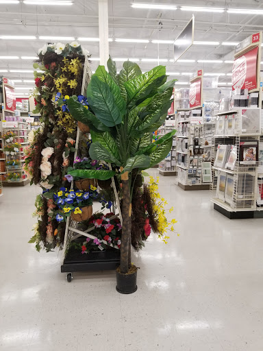 Craft Store «Michaels», reviews and photos, 20640 Homestead Rd, Cupertino, CA 95014, USA