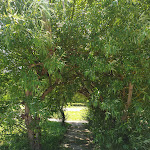 Photo n° 9 de l'avis de Dolores.e fait le 13/06/2021 à 12:50 pour Domaine de la Grange-la-Prévôté à Savigny-le-Temple