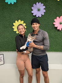 Puppies For Less - Rancho Las Vegas - Photo 3 - Car repair in Las Vegas, NV, Las Vegas