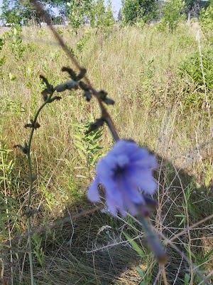 Reservoir State Park - photo 53