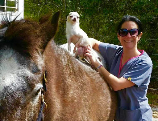 Southwest Florida Veterinary Services image