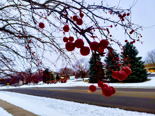 Insurance Agency «Allianz Life Insurance Company of North America», reviews and photos