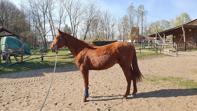 Tündér Ranch tábla - Veresegyház