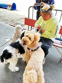 Nature Dog Club
