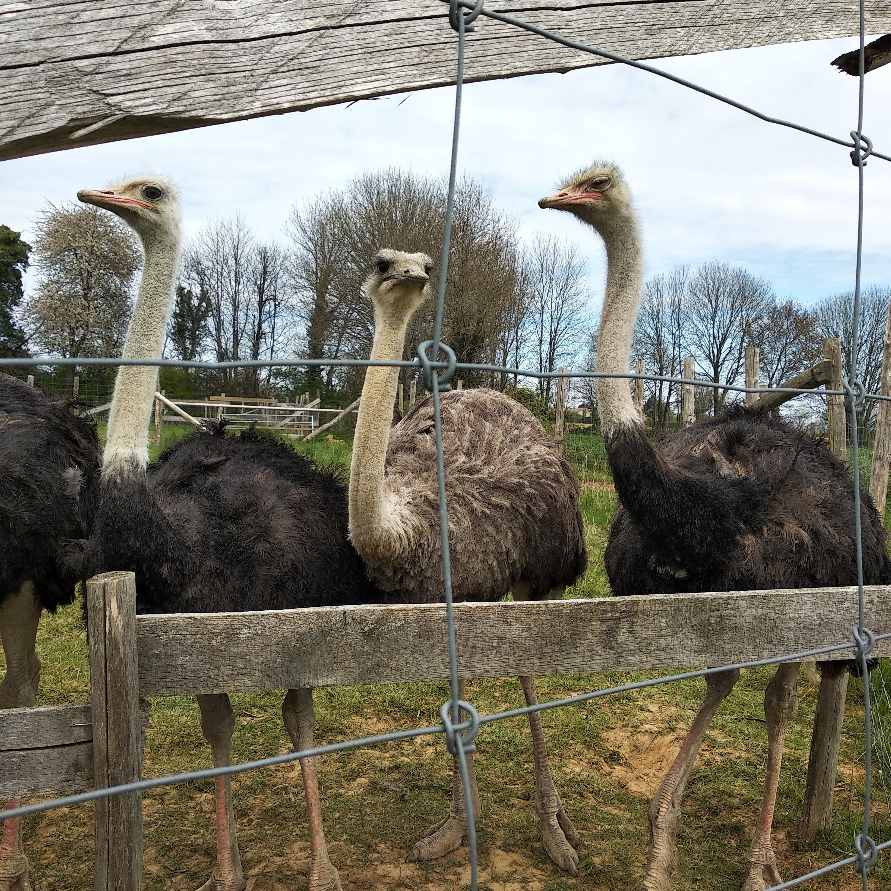 Photo n° 1 de l'avis de Corinne.r fait le 20/04/2019 à 14:41