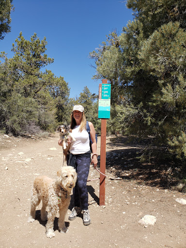 Pet Supply Store «Petco Animal Supplies», reviews and photos, 430 N Euclid St, Anaheim, CA 92801, USA