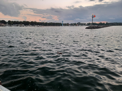 Historical Landmark «Dunkirk Lighthouse», reviews and photos, 1 Point Dr N, Dunkirk, NY 14048, USA