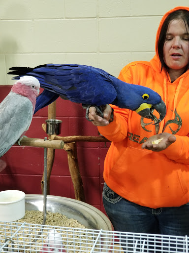 Pet Store «Kalamazoo Reptile Show», reviews and photos, 2900 Lake St, Kalamazoo, MI 49048, USA