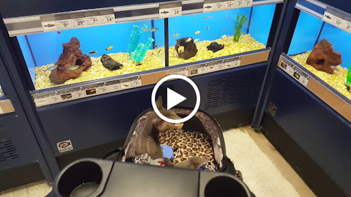 Pet Supply Store «Petco Animal Supplies», reviews and photos, 2689 Market Center Dr, Rockwall, TX 75032, USA