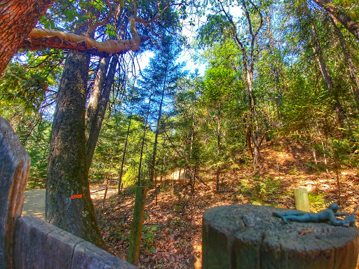 Tourist Attraction «Oregon Vortex», reviews and photos, 4303 Sardine Creek L Fork Rd, Gold Hill, OR 97525, USA