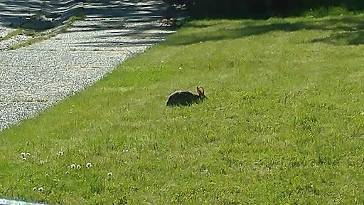 Golf Club «Twin Lakes Golf and Country Club», reviews and photos, 3583 SW 320th St, Federal Way, WA 98023, USA